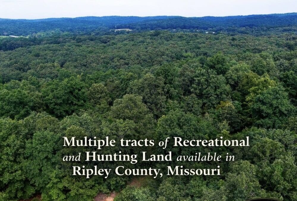 Hunting and Recreational Land for Sale in Ripley County, Missouri